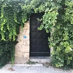 Stylish Art House Palmeti